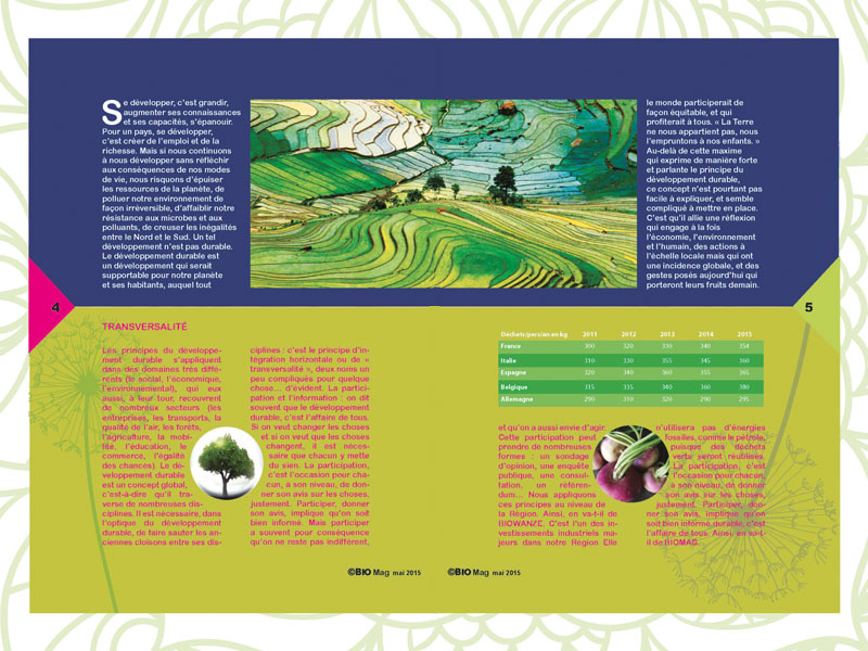 indesign intérieur mag