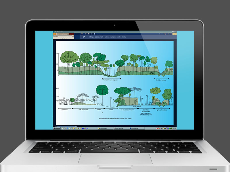 Encyclopedia Universalis